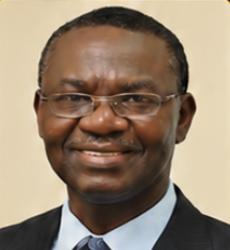 prof.wumi iledare